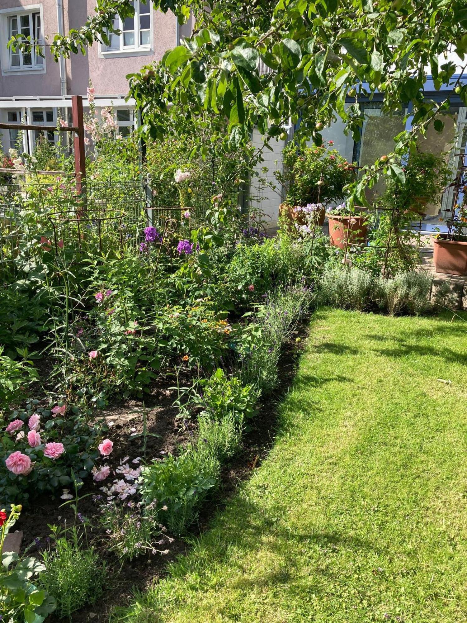 Charmante-Ferienwohnung-In-Der-Fjordstadt Flensburg Dış mekan fotoğraf