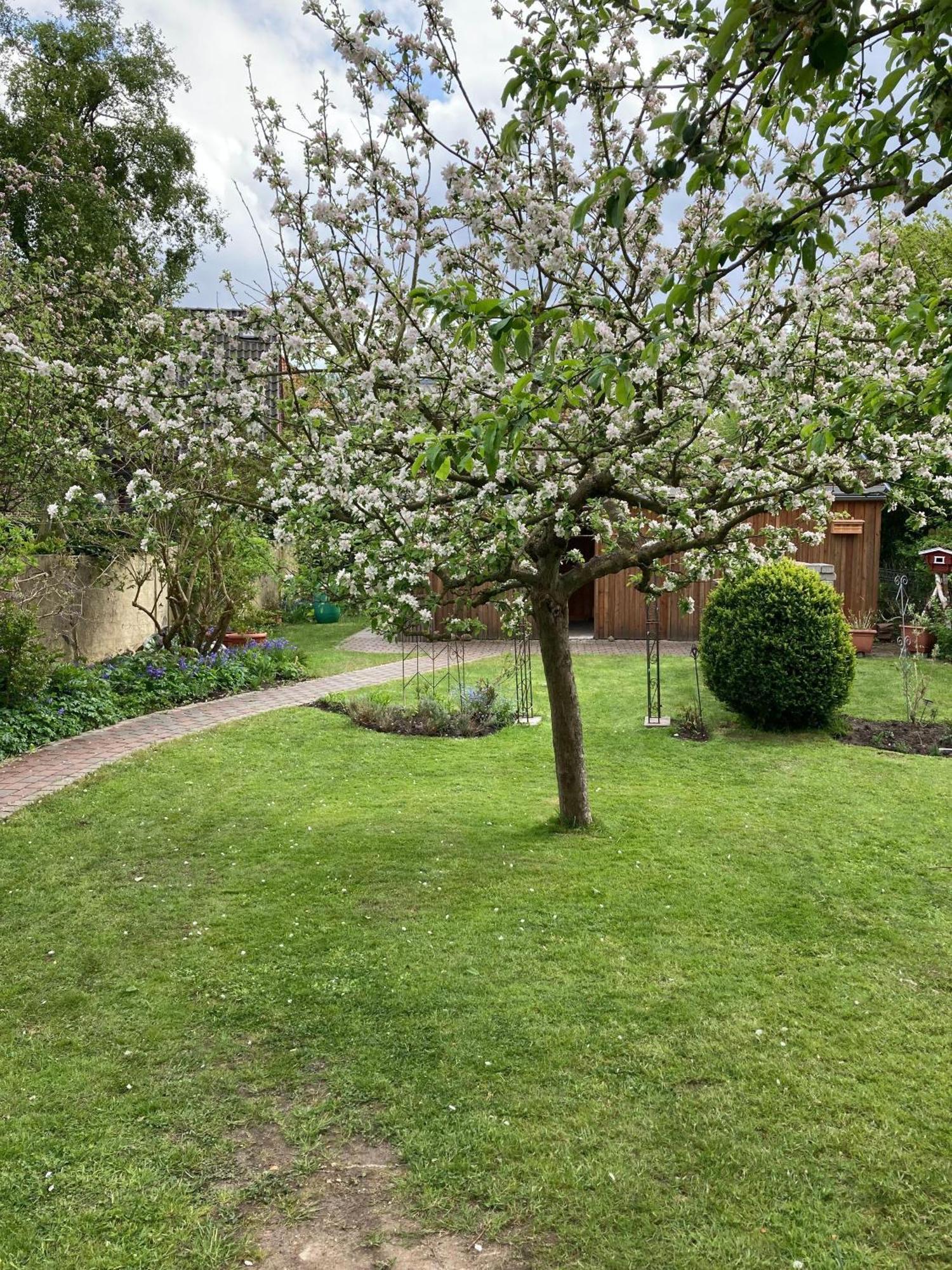 Charmante-Ferienwohnung-In-Der-Fjordstadt Flensburg Dış mekan fotoğraf